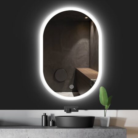 18-in.-W-x-26-in.-H-Oval-Wall-Mount-Bathroom-Vanity-Mirror-with-LED-450x450